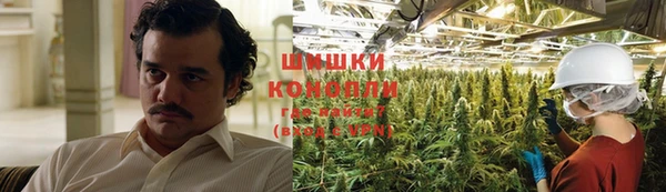 мдпв Липки