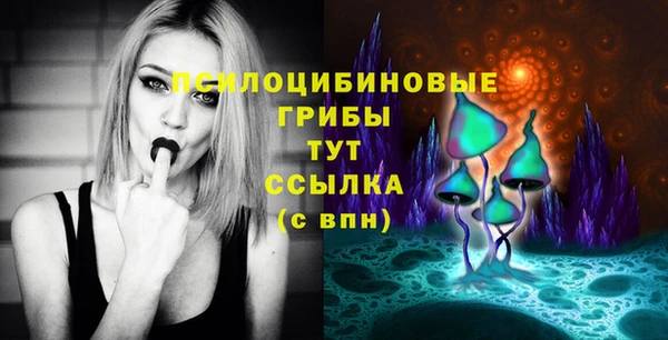 амф Магас
