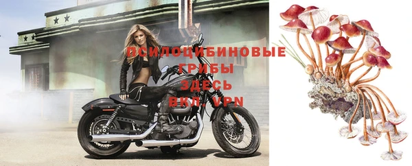прущий лед Лиски